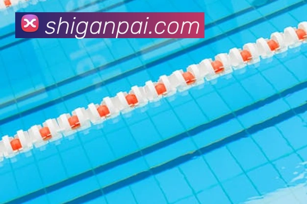 开运体育APP 高清赛事图